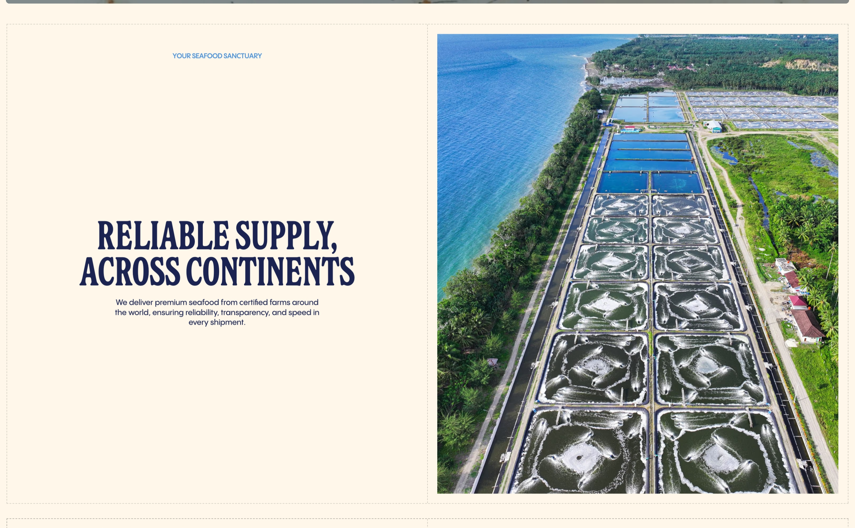 Haven Foods feature: Reliable Supply Across Continents text beside an aerial photo of coastal shrimp ponds