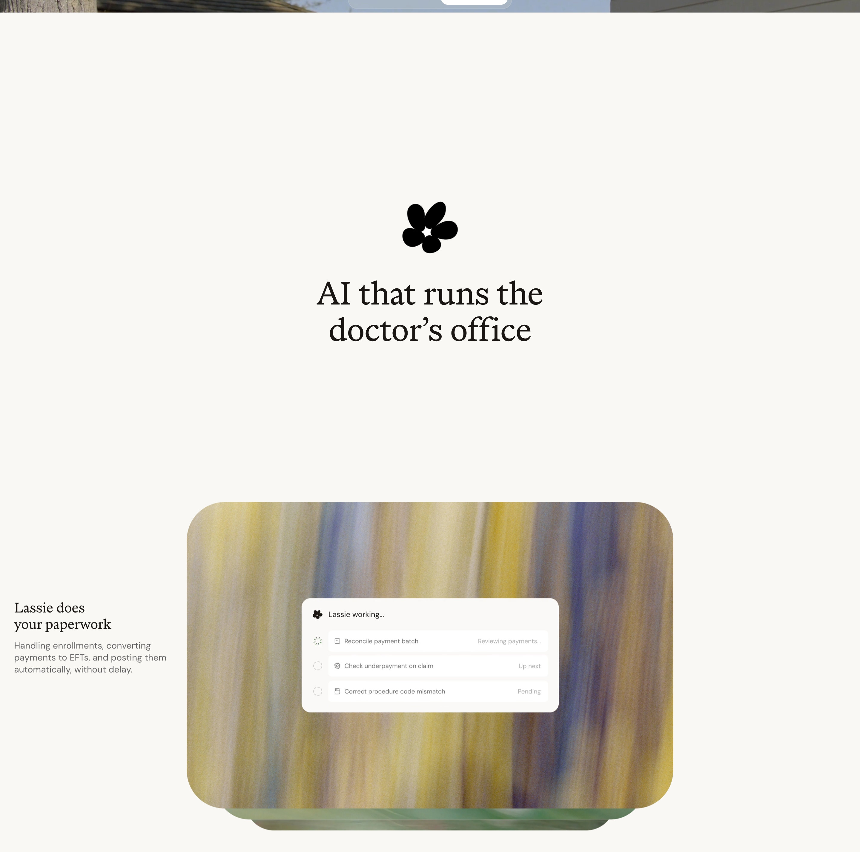 Lassie Feature design