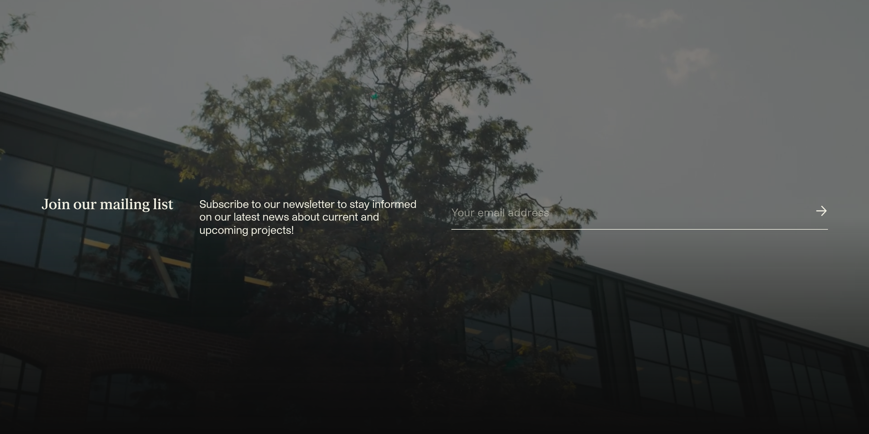 Montoni Newsletter design