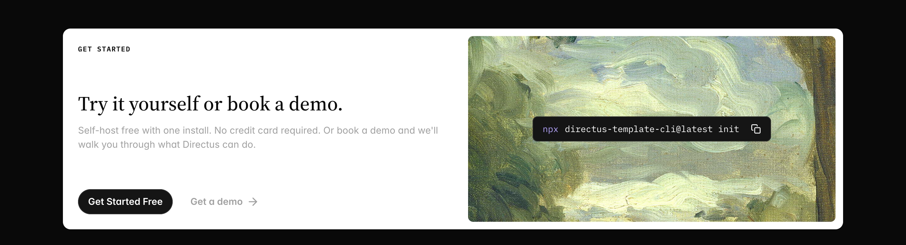 Directus CTA panel with Try it yourself copy, Get Started Free and demo links, and a painting with an npx command.