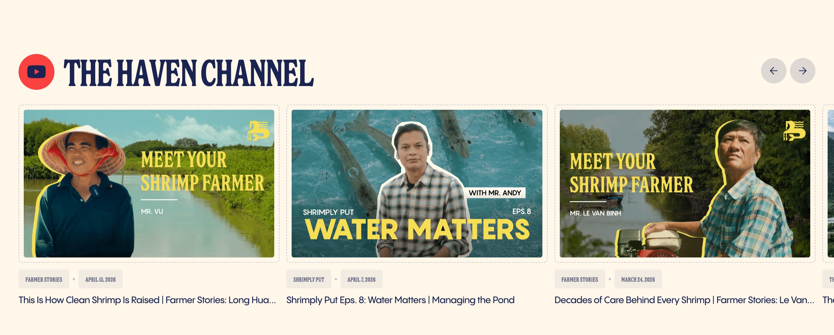 Haven Foods The Haven Channel section with video cards for farmer stories and a Water Matters episode.