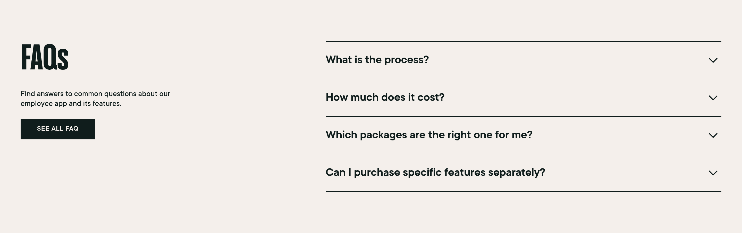 Relesys FAQ design