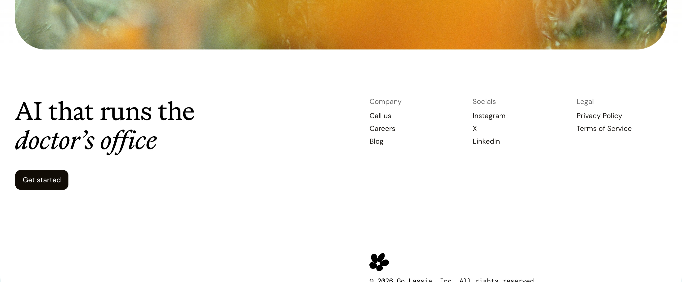 Lassie Footer design