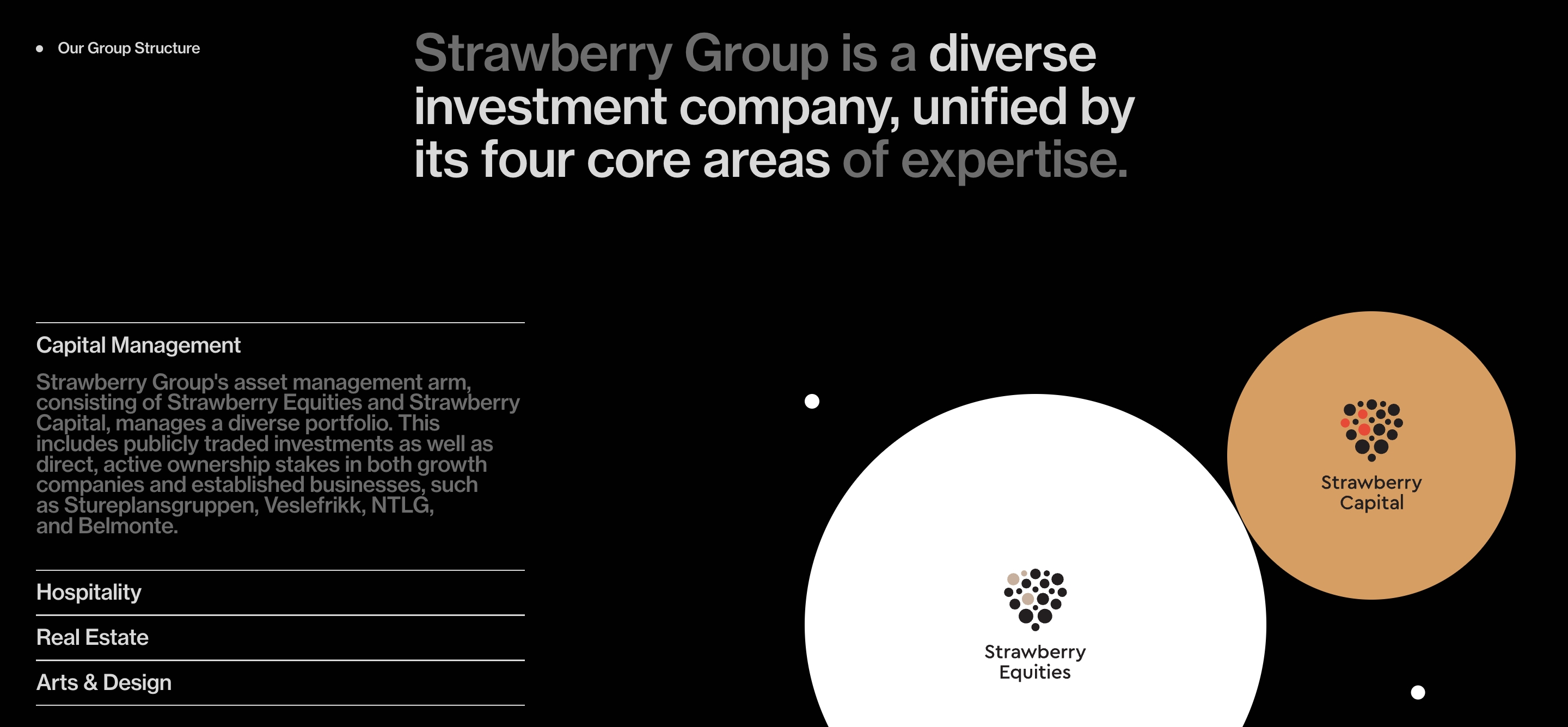 Strawberry Group structure section with four business areas listed left and overlapping Equities and Capital circles.