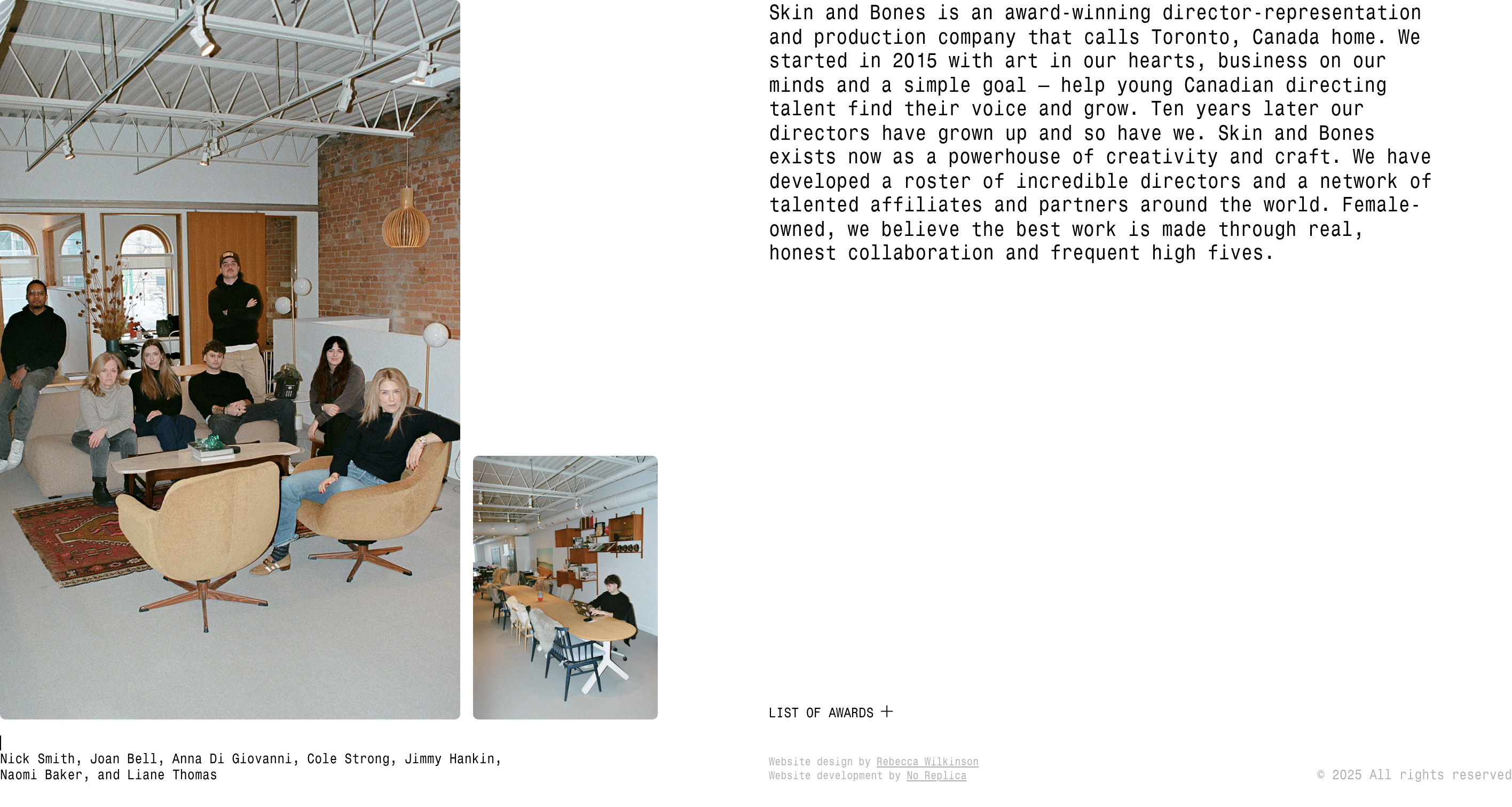 Skin and Bones About Us design