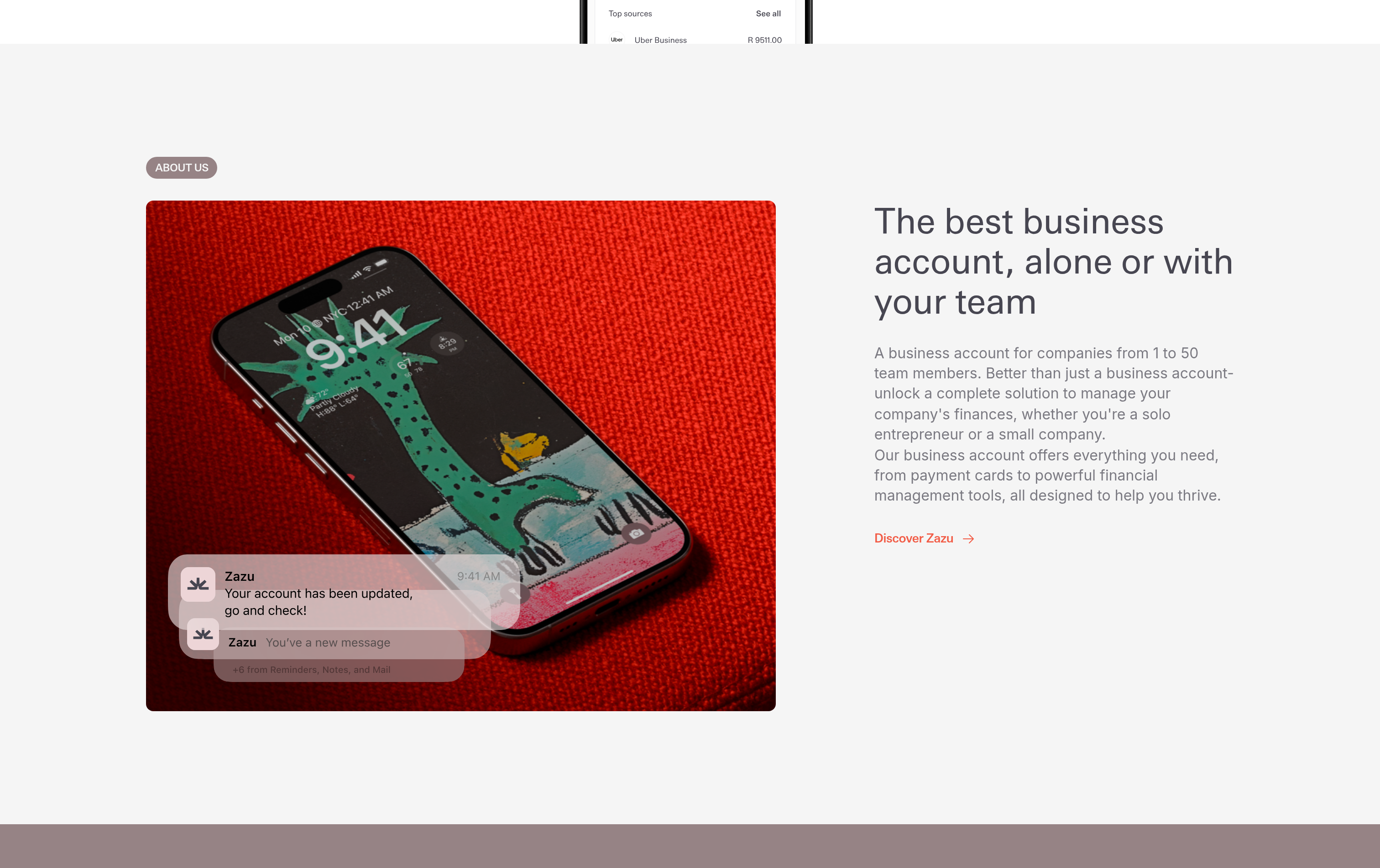 Zazu About Us design
