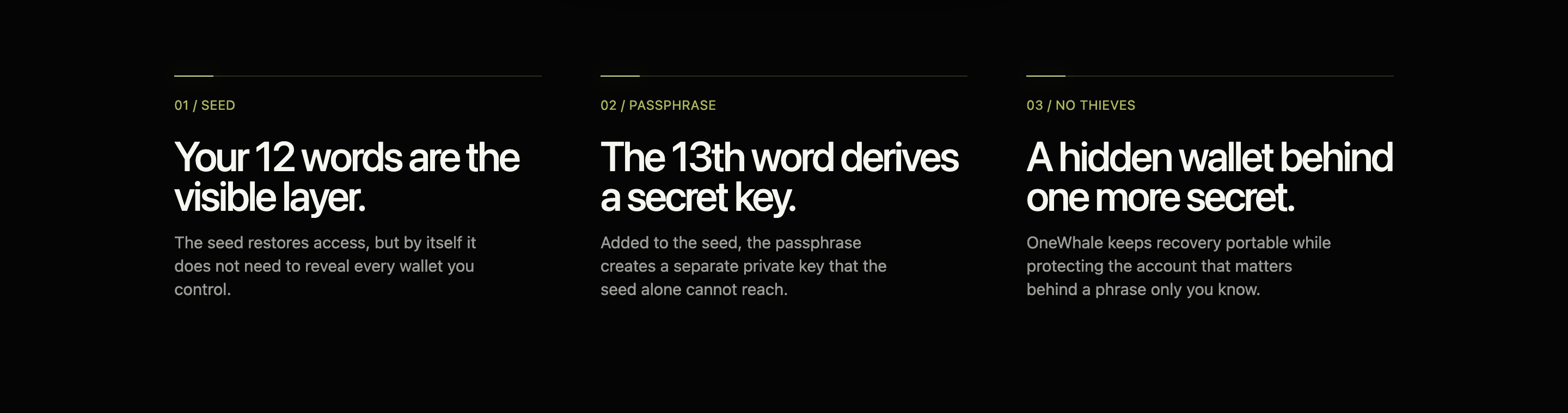 OneWhale feature section with three dark columns on seed, passphrase, and a hidden wallet.