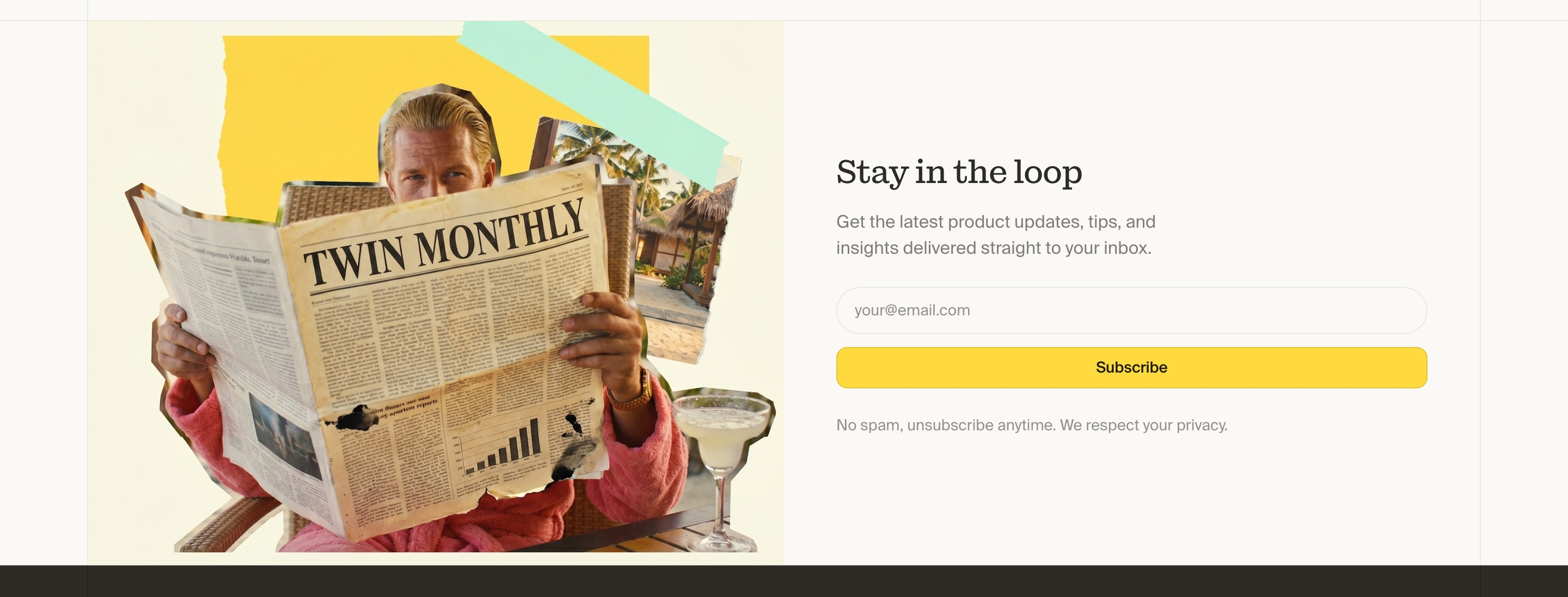 Twin Newsletter design