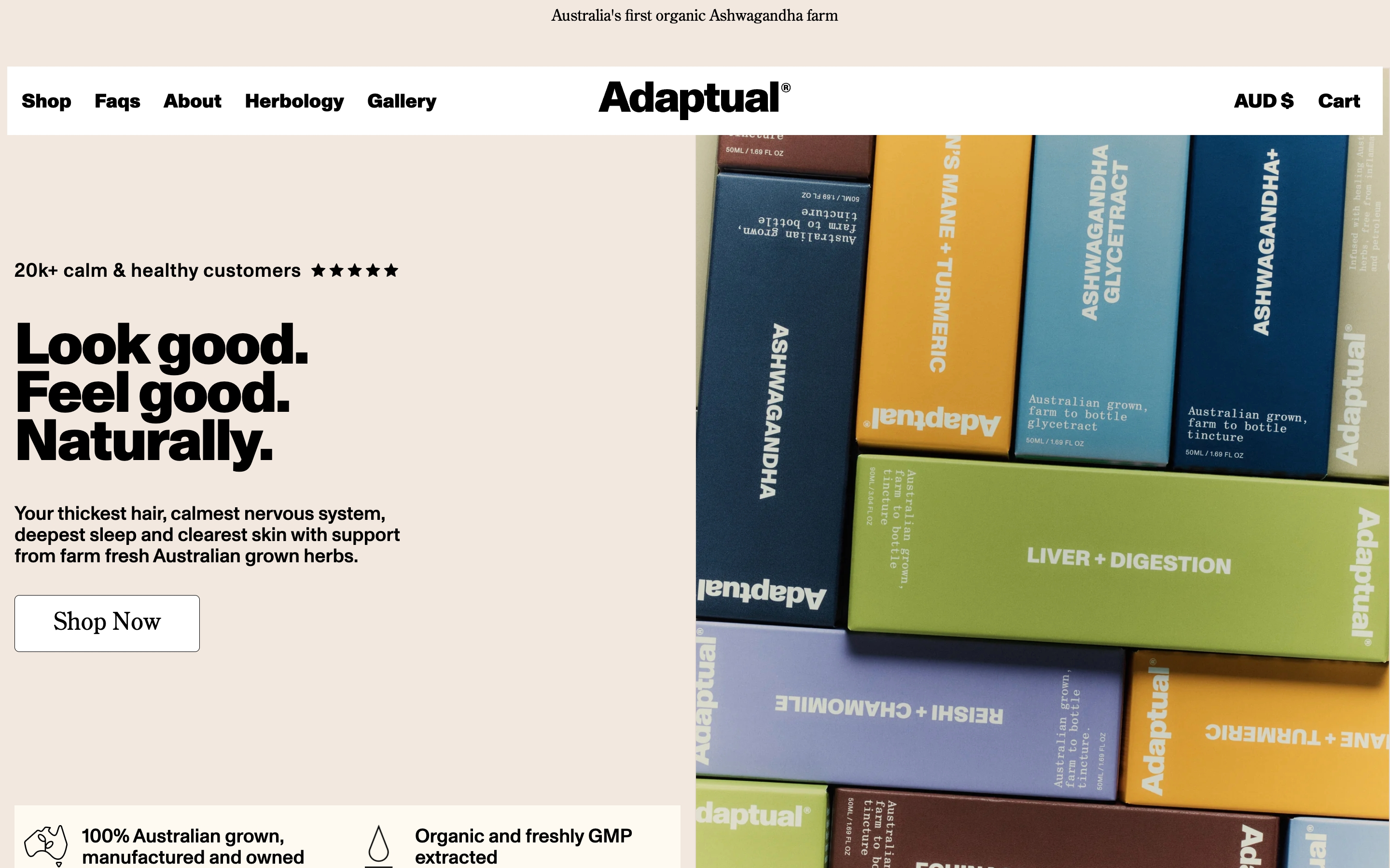 Adaptual Health Hero design