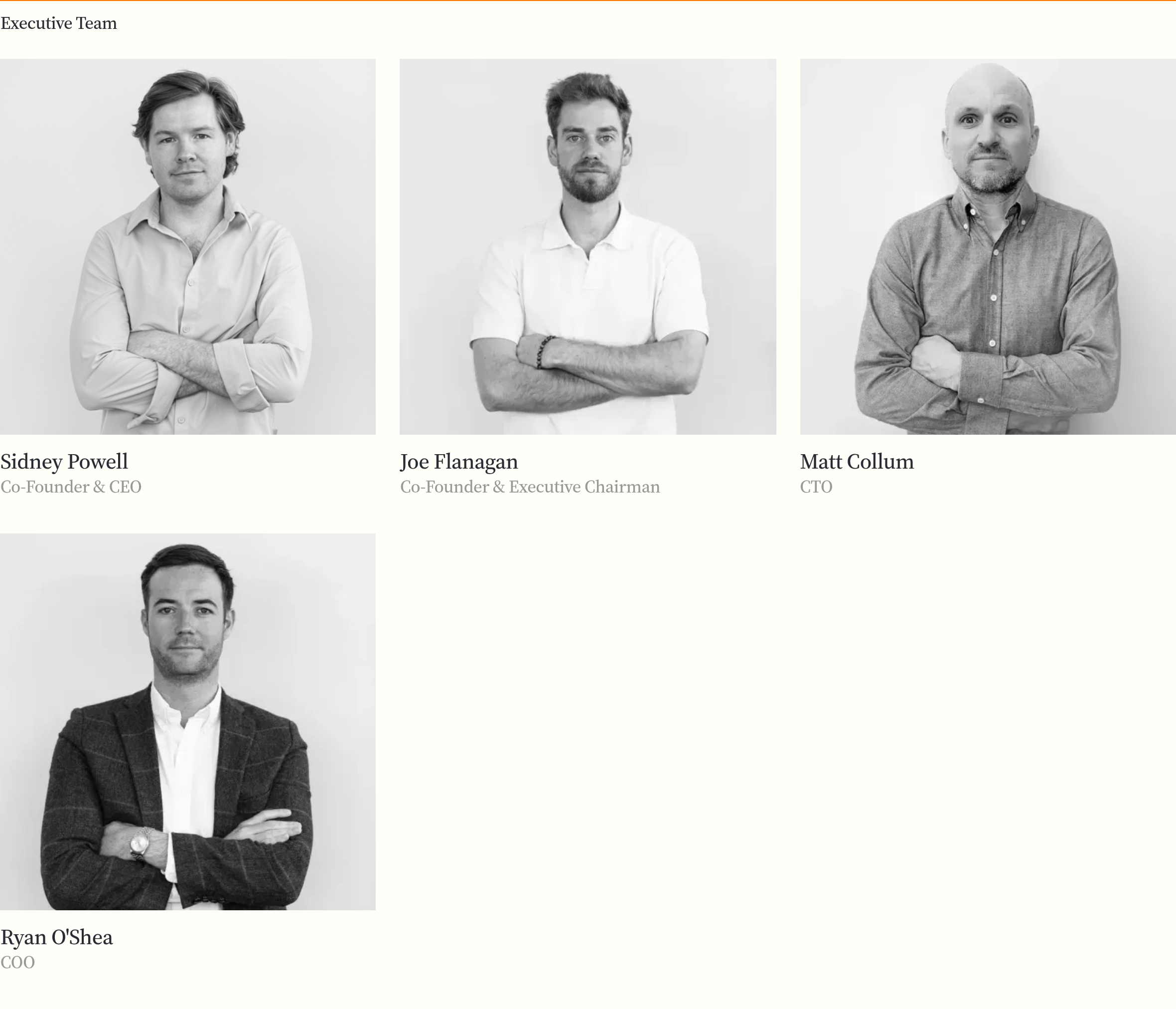 Maple Finance Team design