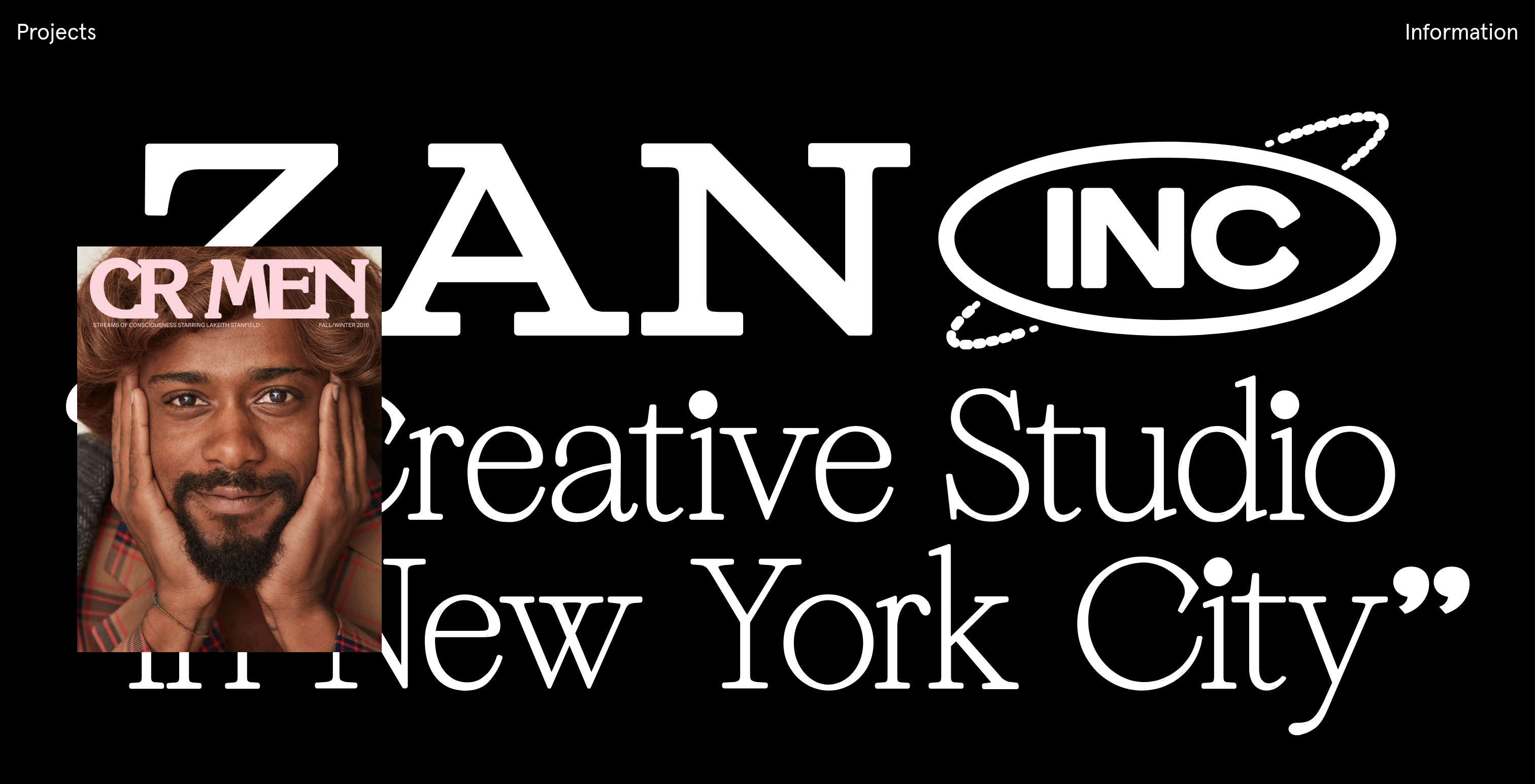 Zan-Inc Hero design